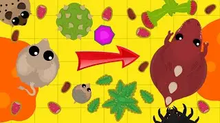 КАК БЫСТРО КАЧАТЬСЯ В MOPE.IO