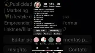 como organizar a biografia do insta...