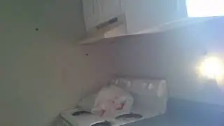 A last look at sylvia thompson kitchen and bathroom seasparkles corner sept 9 2024