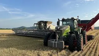 The First Day of Wheat Harvest 2023