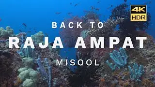 Back To Raja Ampat | Misool | West Papua | Indonesia | Seram Sea | 4K HDR | 2022