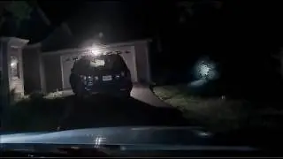 Bear Cub Locks Himself Inside Virginia Car and Scurries Away With Help of Policeman