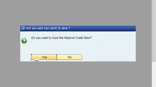 MCN (Material Credit Note) (RVPN specific process)