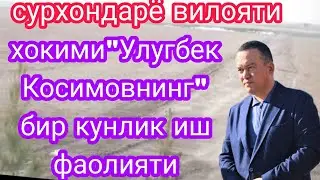 сурхондарё вилояти хоким 