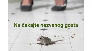 Suzbijanje štetočina deratizacijom i dezinsekcijom
