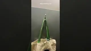 RATING THIS BATHROOM|Lin On The Internet