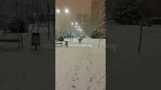 3 am, going to the grocery store