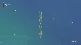 Polymerase Chain Reaction - Amplify DNA for Analysis (3D animation by Labster)