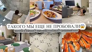 ТАКОГО МЫ ЕЩЕ НЕ ПРОБОВАЛИ😱 Порядок дома👌🏻 ПЕРЕМЕНЫ В ПОДВАЛЕ🔨 Домашний влог