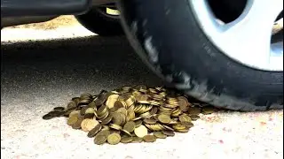 CAR vs $1000 COINS - EXPERIMENT