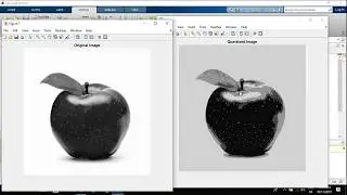 How to quantize an image from 256 levels to 4 levels in Matlab | 8 bit image in 2 bit image