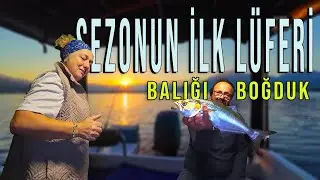 We Caught the First Bluefish of the Season | catch a lot of fish