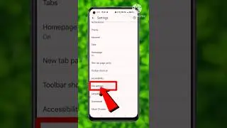 Set this settings for Cookies in GoogleChrome browser 