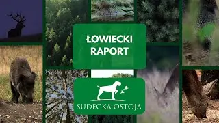 ŁOWIECKI RAPORT - SUDECKA OSTOJA #8