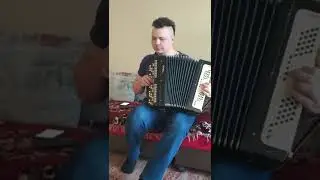 Сережа играет на баяне песню 