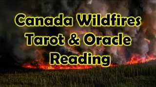 What's Up with the Canada Wildfires? (Current Event Tarot Reading)