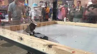 DropSaw vs Big-G (Fight 1 Roboticon 2022)