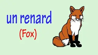 Learn wild animals in French and how to say them - Part 3