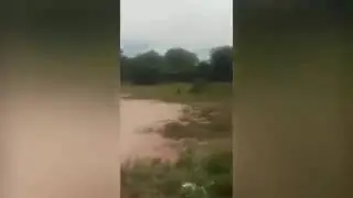 Salfate: Posible Duende es Grabado en Argentina (2017)