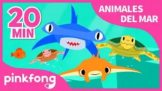 Las Mejores Canciones de Animales del Mar | Tiburón y más música infantil | +Recopilación | Pinkfong