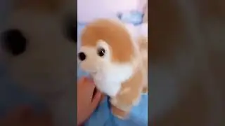 глупий шпиц 4 часть 2 сезон