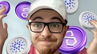 Major Cardano & Polygon Catalysts