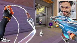 Radiantes Estão Amando a NOVA VANDAL KURONAMI