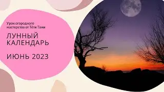 871. Лунный посевной июнь 2023 г. Сеем семенами.