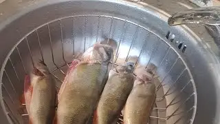 уха из окуня