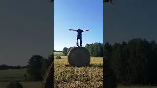 17 июля 2024 г.
