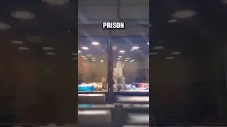 Kitten escapes glass prison to be with puppy 🥺💕 #shorts