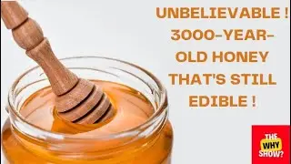 The Sweet Secret of Honey: Why it Never Expires! | The Why Show?