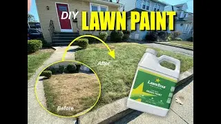 DIY Lawn or Grass Paint: Quick and Easy Curb Appeal Improvement