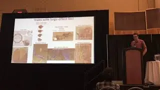 Kardos: Effects of the genomic architecture of fitness on population viability