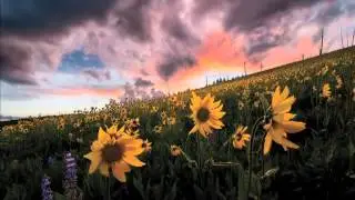 Photo Contest Winners