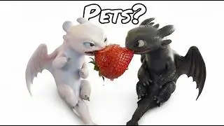 I Raised Toothless and Light Fury in Real Life