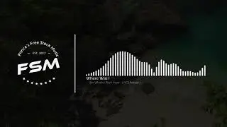 Sex Whales   Roee Yeger   Where Was I feat  Ashley Apollodor  NCS Release