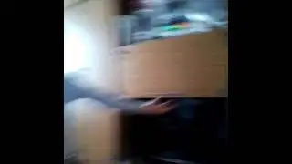 Ревизоро