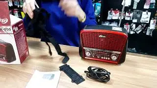 Портативный Радиоприемник Ritmix RPR-050