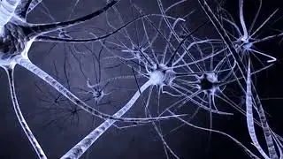 What is a Perceptron | Teaser | #LLM #ai #youtube