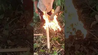 Classic Bamboo Fire Saw