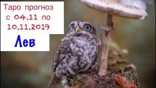 Leo _ tarot horoscope for the week from 04.11 to 10.11.19 _ general tarot forecast