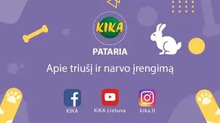 KIKA pataria: apie triušį ir narvo įrengimą