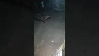 sala bari in Punjab