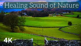 Lake District 4K Healing Sound of Nature Meditation Spot | Improve your focus and concentration