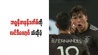 ဘရူနိုဖာနန်ဒက်စ်ကို လင်ဒီလော့ဖ် ဆဲဆိုခဲ့