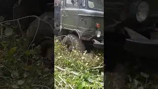 прикол про водку #прикол #шутка #цитаты #shorts #tiktok  #ржака #humor #юмор #youtubeshorts #рек