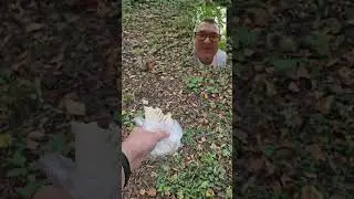 БЕЛКА и шавуха