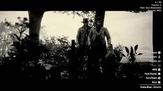 Red dead 2