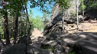 Тайга под Красноярском // НП Красноярские столбы